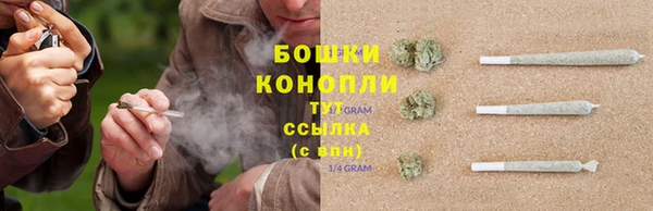 винт Краснослободск