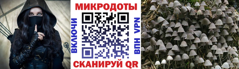 Галлюциногенные грибы MAGIC MUSHROOMS  Купить где  Заполярный 